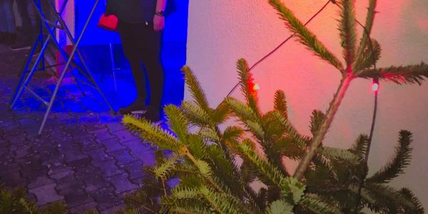 WhatsApp Image 2025-12-26 at 16.54.44