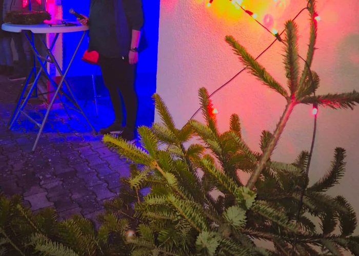 WhatsApp Image 2025-12-26 at 16.54.44